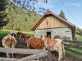 /album/fotogalerie-our-organic-farm/img-20230824-175804-jpg/