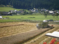 /album/fotogalerie-our-organic-farm/p8292321-jpg/