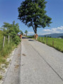 /album/fotogalerie-our-organic-farm/img-20210622-170001-jpg/