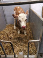 /album/fotogalerie-our-organic-farm/img-20230124-133954-jpg/