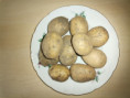 /album/fotogalerie-our-organic-potatoes/img-20211010-091922-jpg/