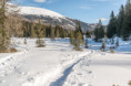/album/winter-holidays/dsc-3855-jpg/
